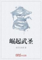 崛起武圣