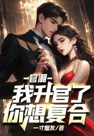 官潮,我升官了你想复合?