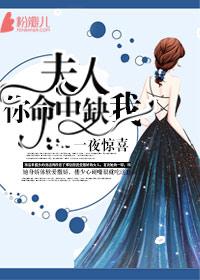 一夜惊喜:夫人,你命中缺我