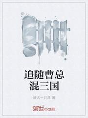 追随曹总混三国
