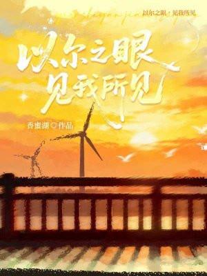 以尔之眼,见我所见