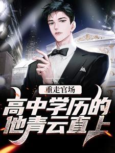 重走官场:高中学历的他青云直上
