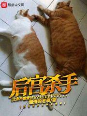 先生别虐了,夫人尸骨无存