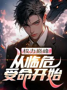 权力巅峰:从临危受命开始