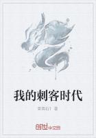 我的刺客时代