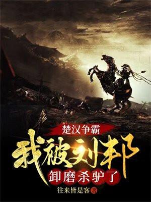 楚汉争霸,我被刘邦卸磨杀驴了!