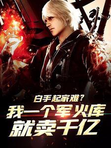 白手起家难?我一个军火库就卖千亿